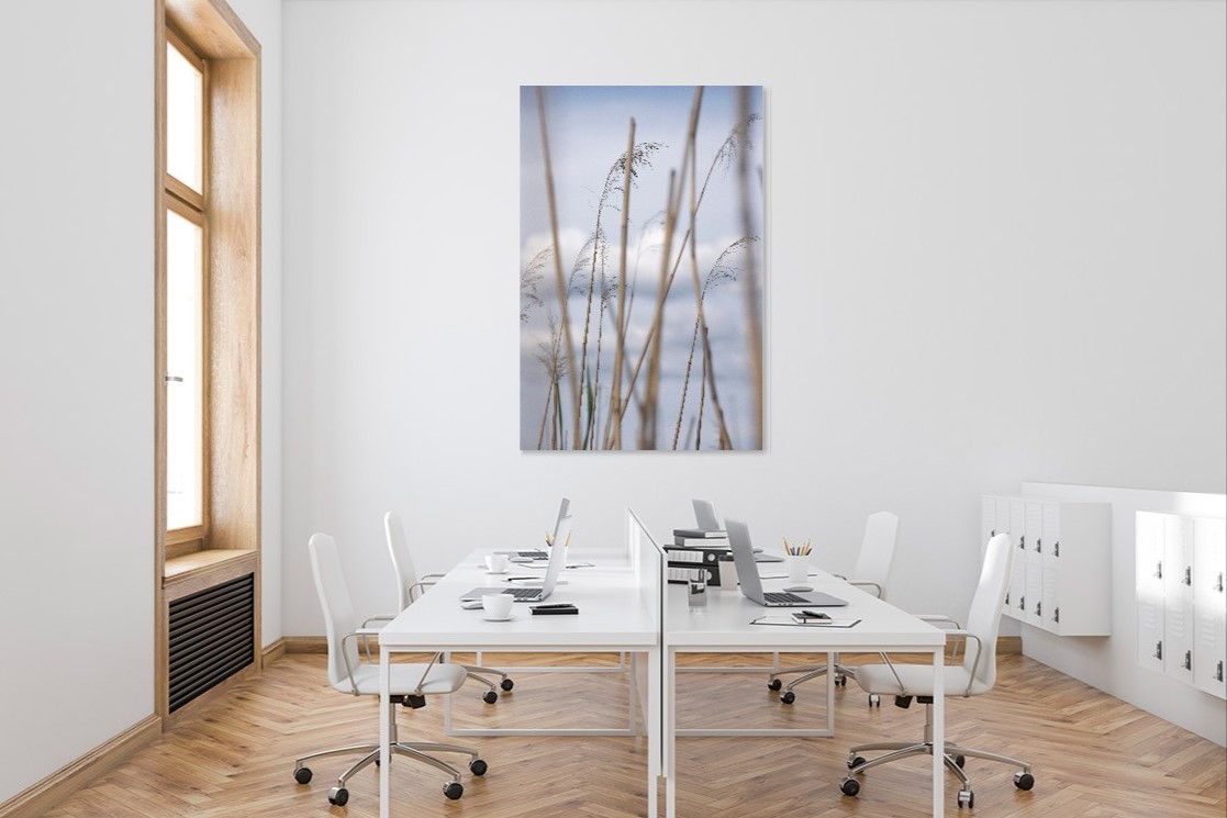 Reed By The Water - Image 2