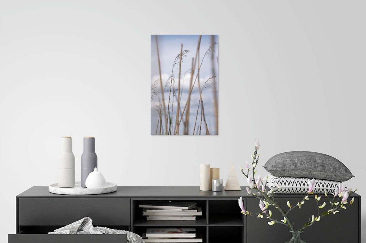 Reed By The Water - Image 4