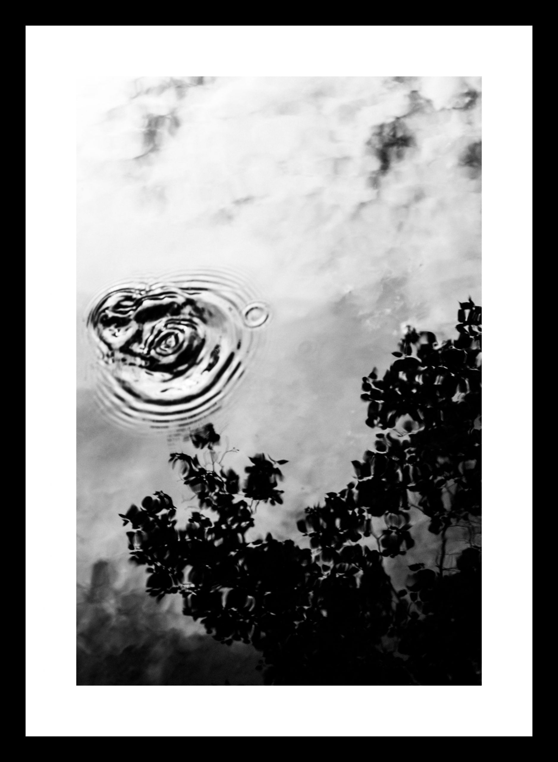 Reflection - Image 3